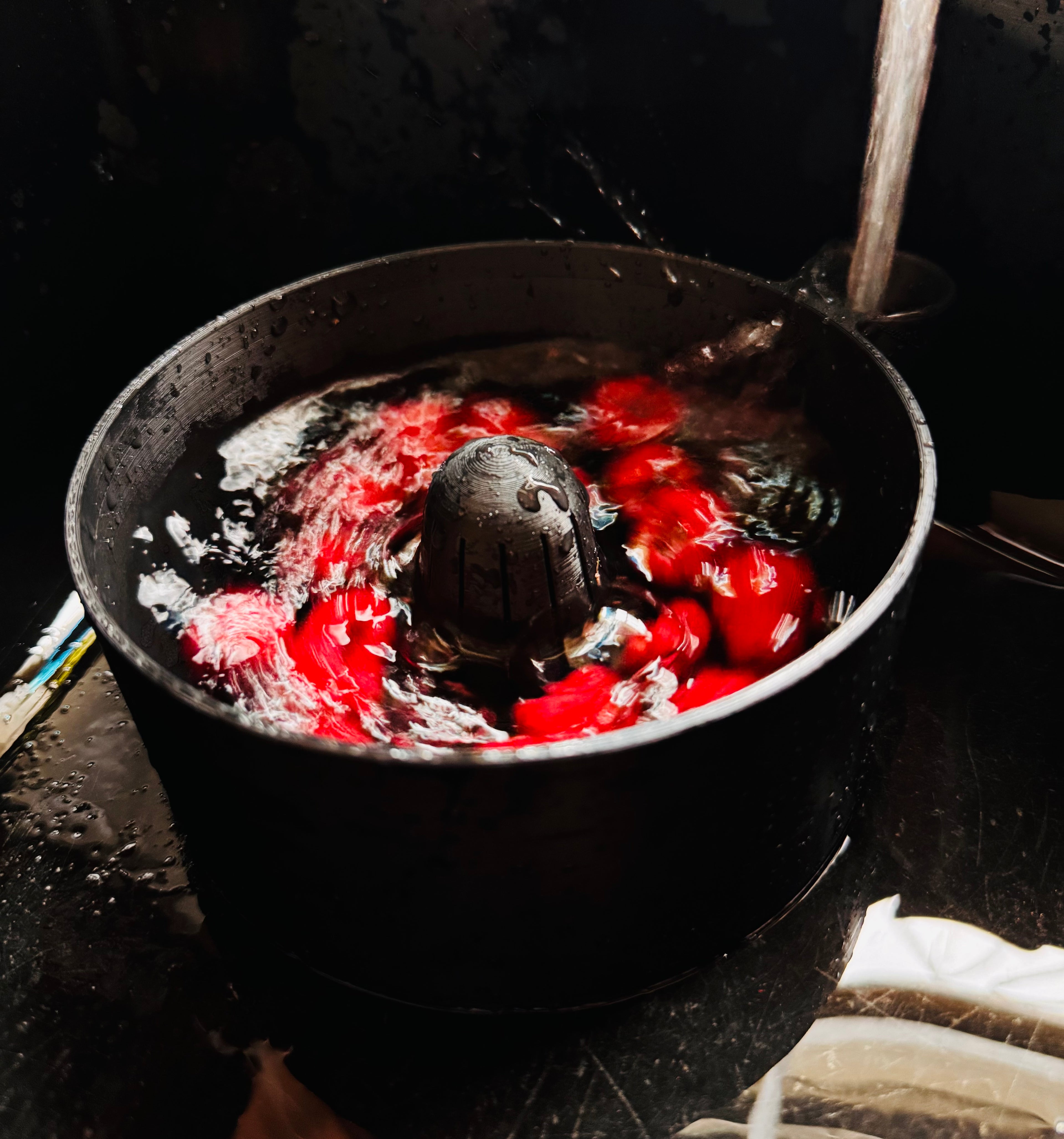 Berry/Fruit Rinser